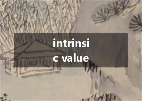 intrinsic value是什么意思