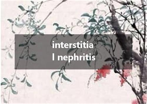 interstitial nephritis是什么意思