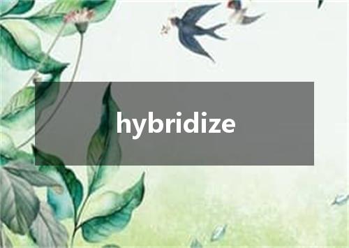 hybridize是什么意思