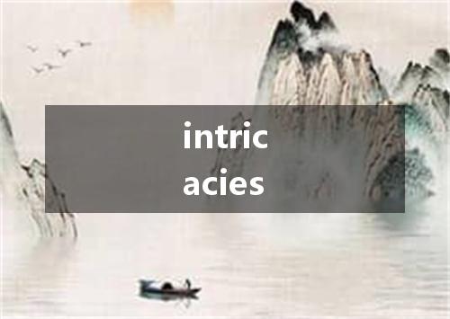 intricacies是什么意思