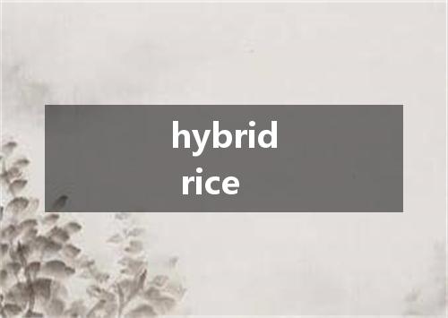 hybrid rice是什么意思