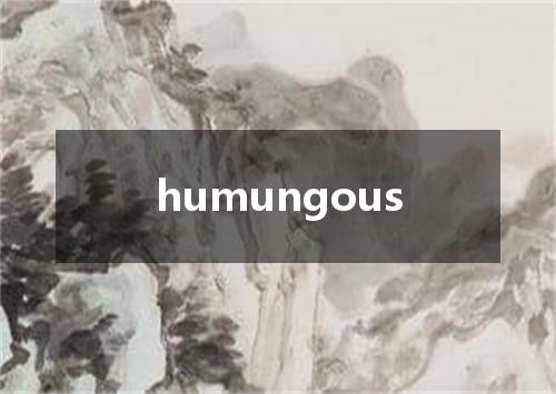 humungous是什么意思