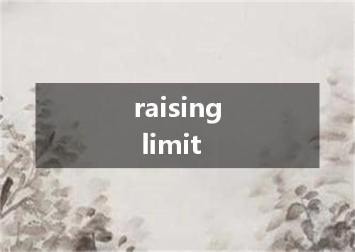 raising limit是什么意思