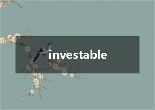 investable是什么意思
