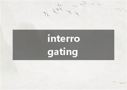 interrogating是什么意思