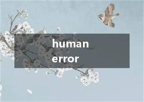 human error是什么意思
