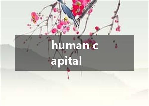human capital是什么意思