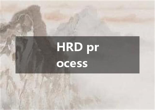 HRD process是什么意思