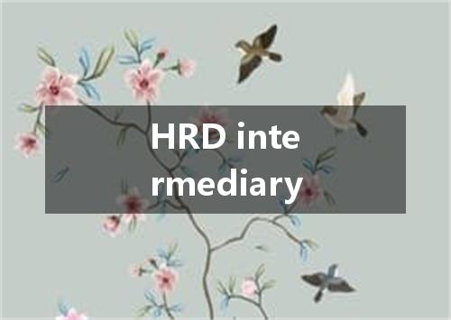 HRD intermediary是什么意思