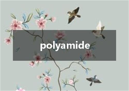 polyamide是什么意思