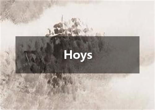 Hoys是什么意思