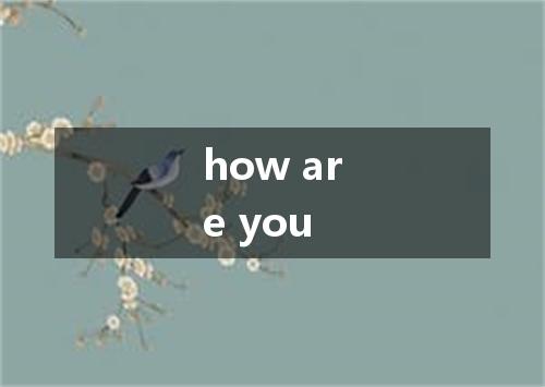 how are you是什么意思