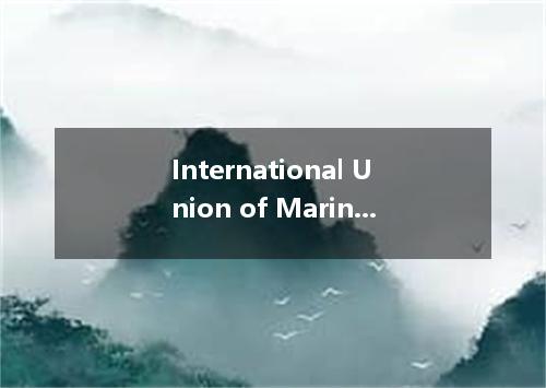 International Union of Marine Insurance是什么意思