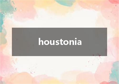 houstonia是什么意思