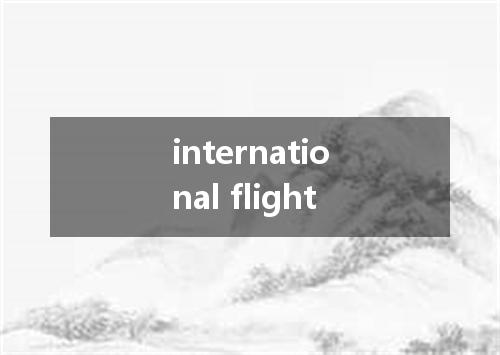 international flight是什么意思