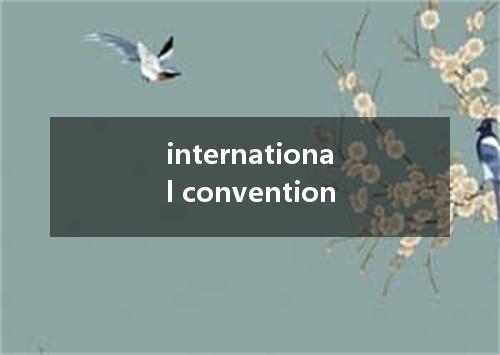 international convention是什么意思