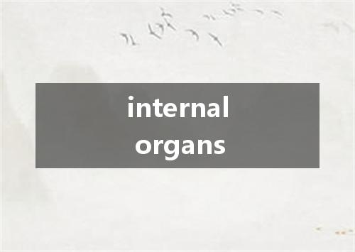 internal organs是什么意思