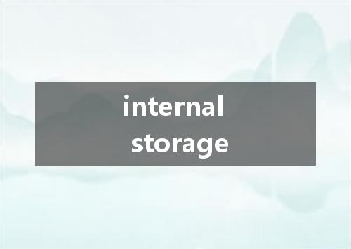 internal storage是什么意思