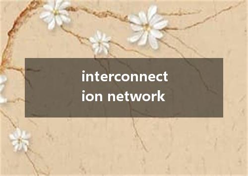 interconnection network是什么意思