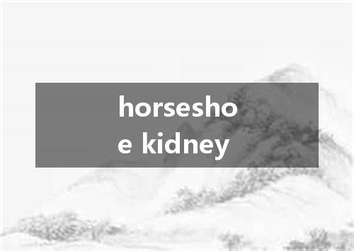horseshoe kidney是什么意思