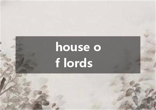 house of lords是什么意思