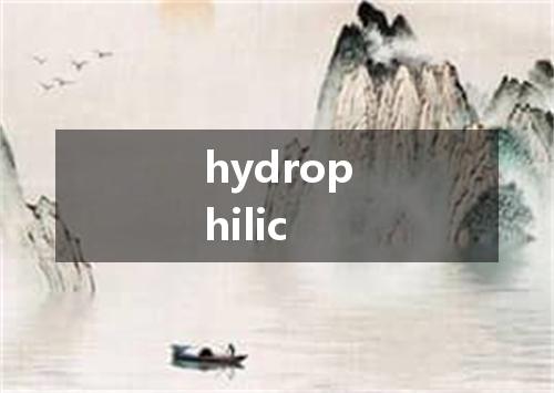 hydrophilic是什么意思