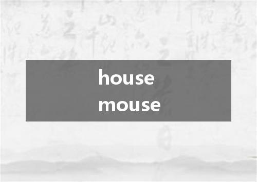 house mouse是什么意思