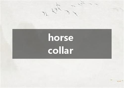 horse collar是什么意思