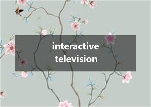 interactive television是什么意思