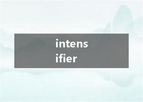 intensifier是什么意思