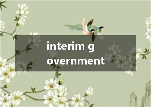 interim government是什么意思
