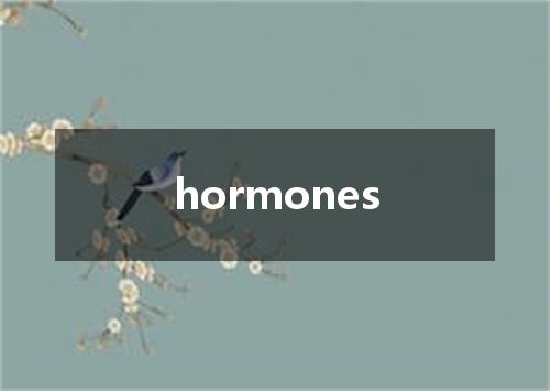 hormones是什么意思