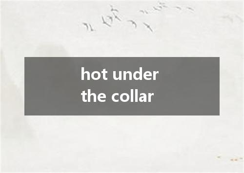 hot under the collar是什么意思