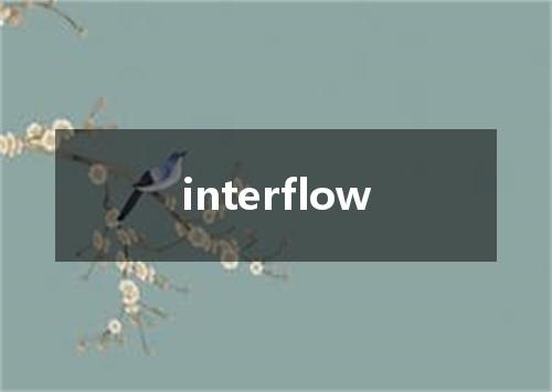 interflow是什么意思