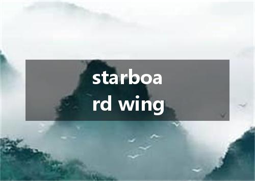 starboard wing是什么意思