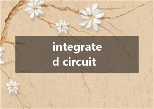 integrated circuit是什么意思