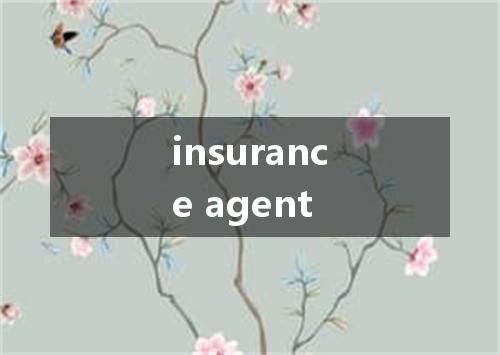 insurance agent是什么意思