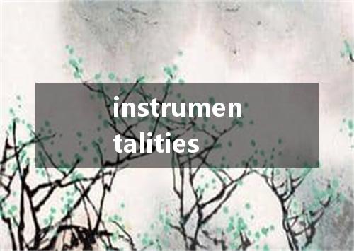 instrumentalities是什么意思