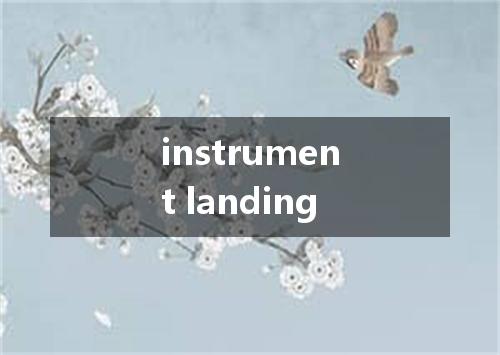 instrument landing是什么意思