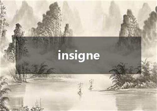 insigne是什么意思