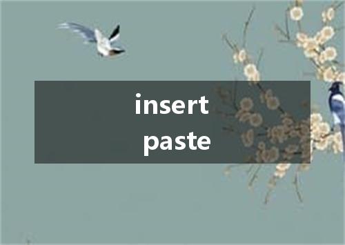 insert paste是什么意思