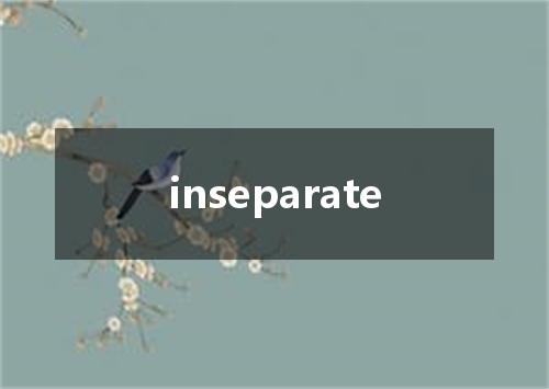 inseparate是什么意思