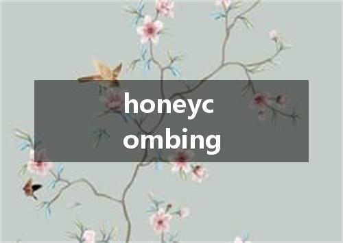 honeycombing是什么意思