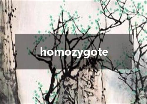 homozygote是什么意思