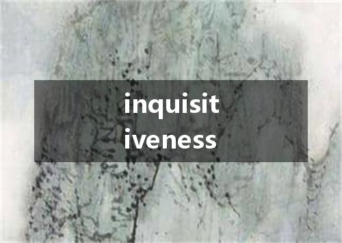 inquisitiveness是什么意思