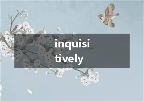 inquisitively是什么意思