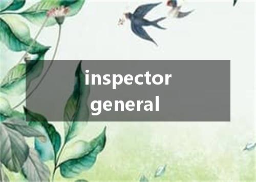 inspector general是什么意思
