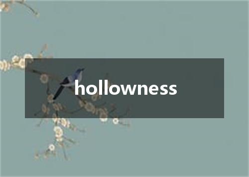 hollowness是什么意思