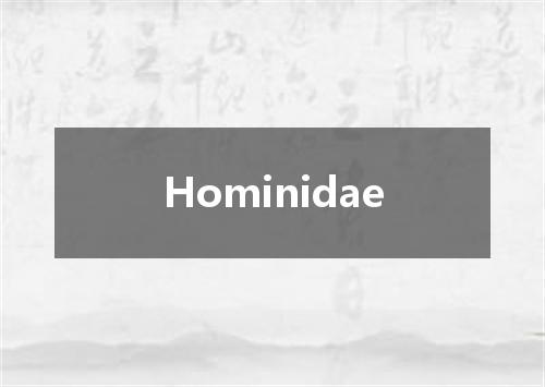 Hominidae是什么意思