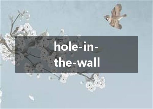 hole-in-the-wall是什么意思